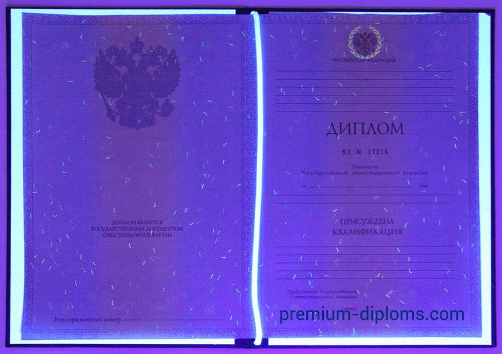 Диплом бакалавра 2010-2013 год фото